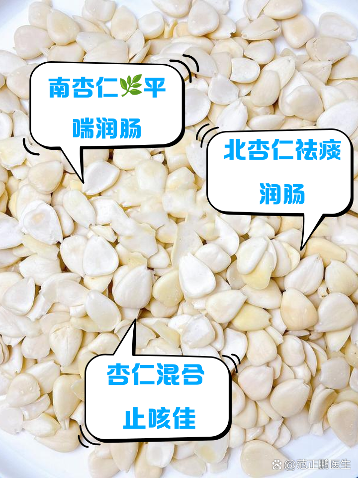 南杏仁北杏仁有什么作用和功效