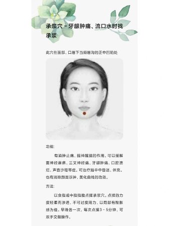 承浆穴–牙龈肿痛、流口水时找承浆