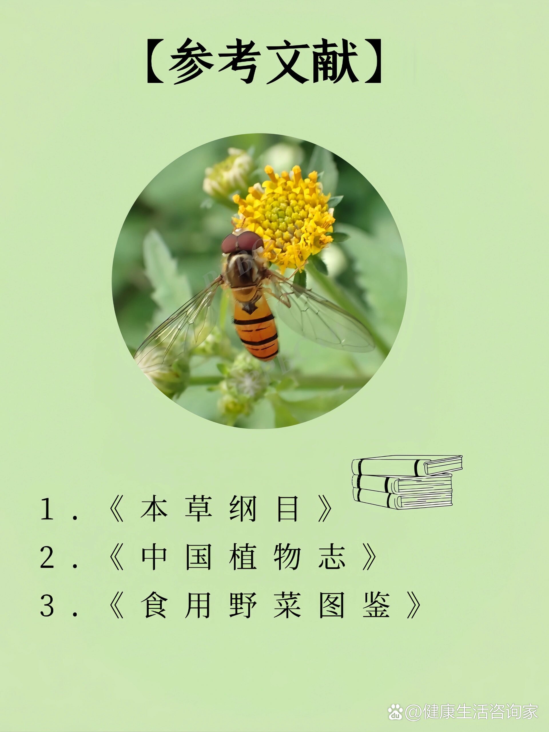 03261野菜|揭秘鬼针草的神奇功效及食用方式!