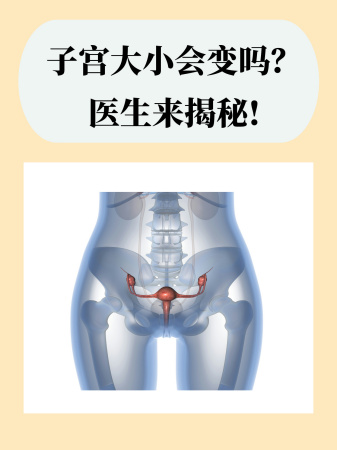 子宫大小会变吗？医生来揭秘!