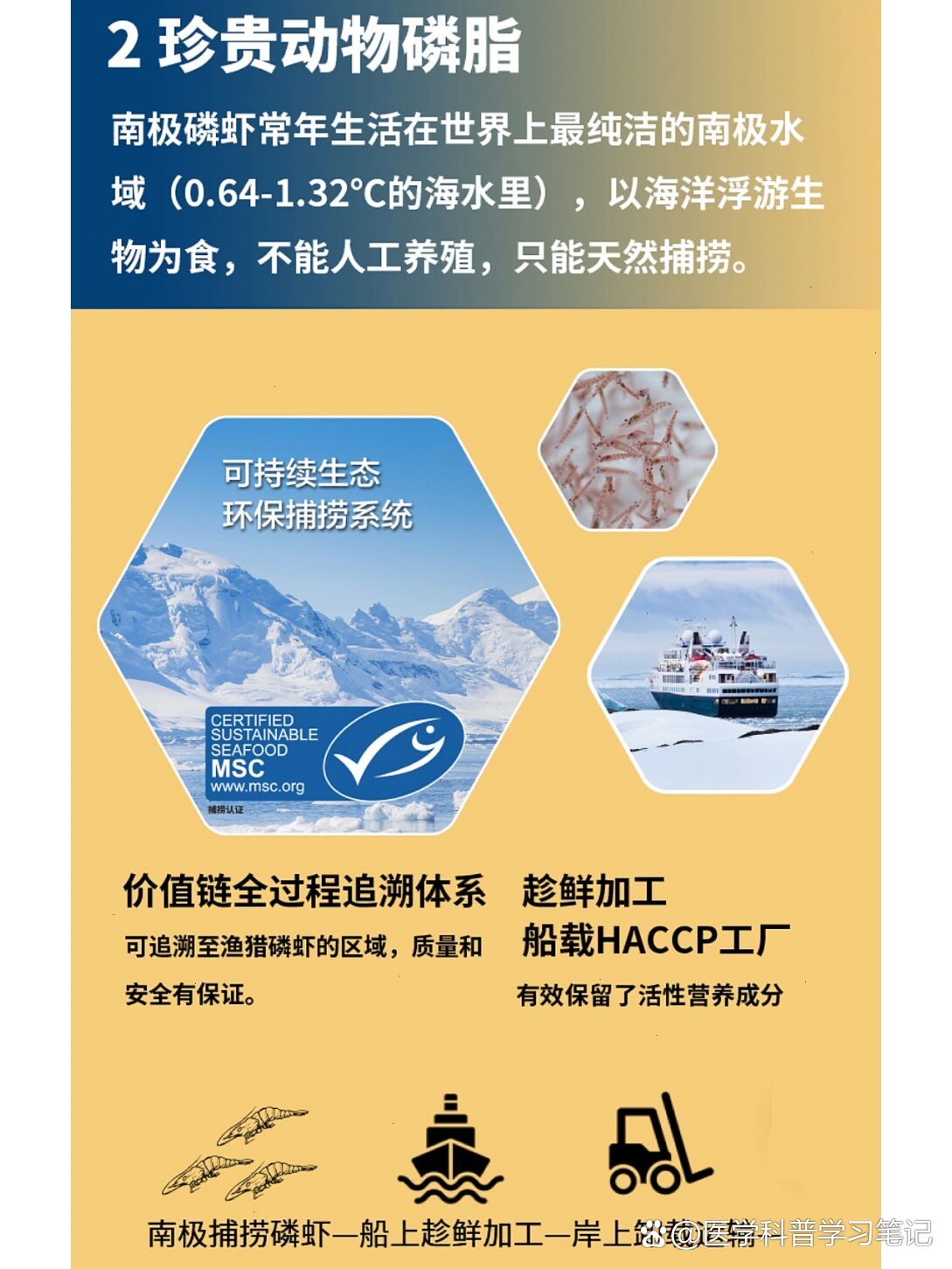 科普篇-宝健磷脂康