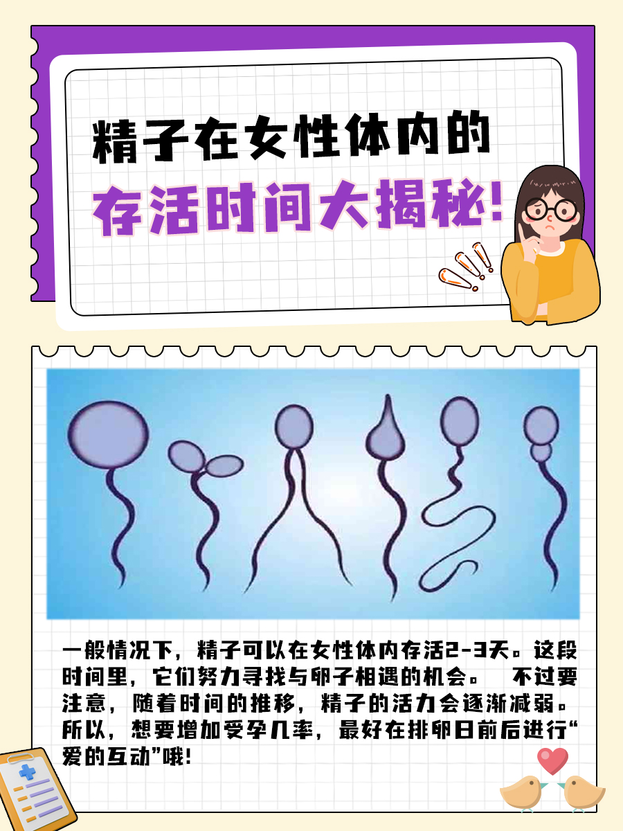 精子在女性体内存活多久?揭秘生命的奇妙旅程!