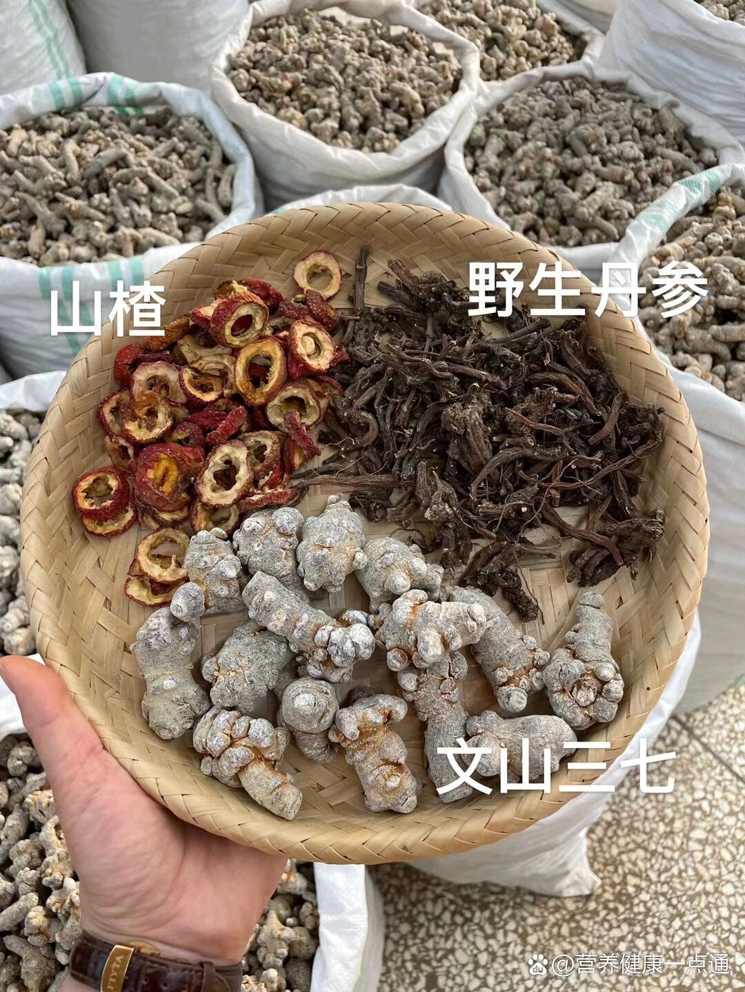 三七丹参片的组方图片