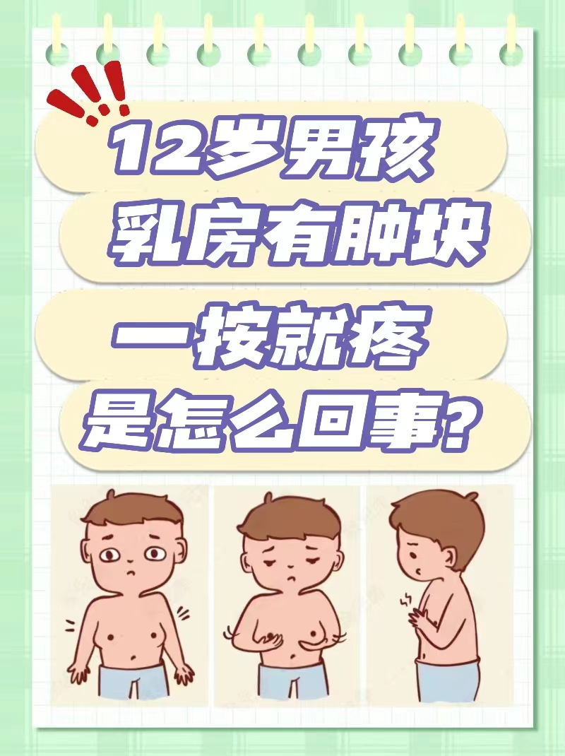 12岁半乳房正常啥样图片