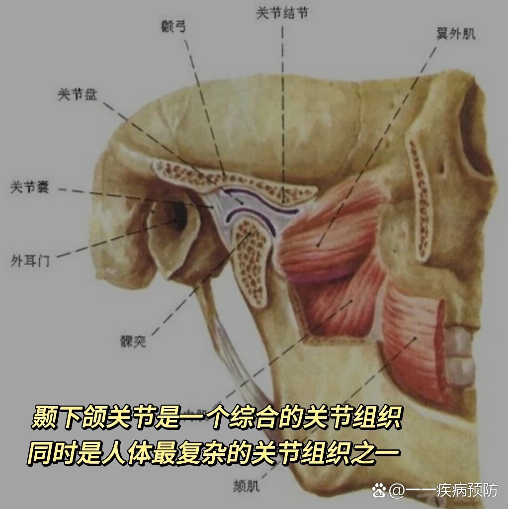 颞下颌关节紊乱真不用动手术