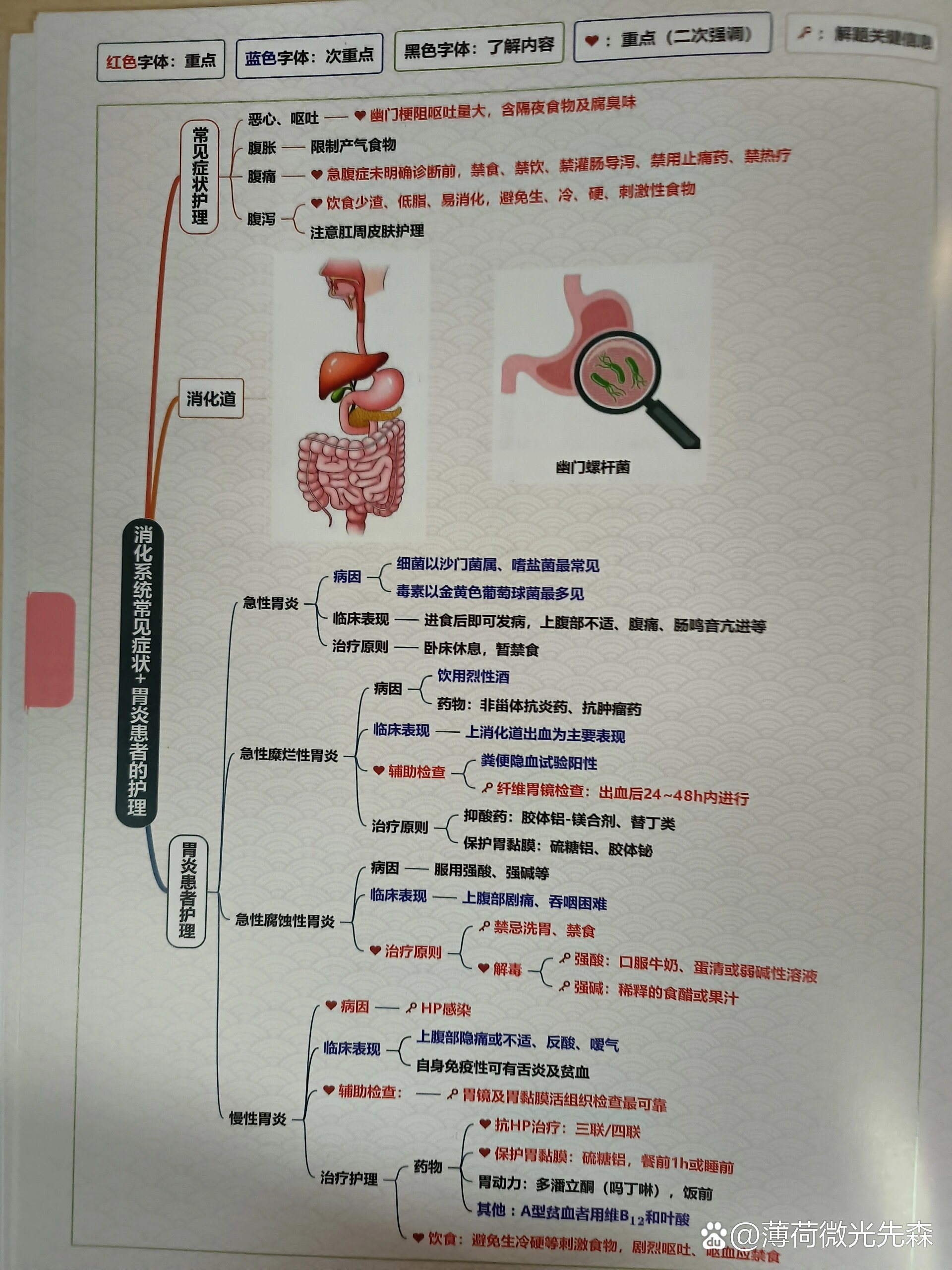 消化腺思维导图高清图片