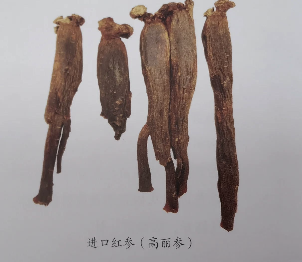 国产红参和进口红参（高丽参）的区别