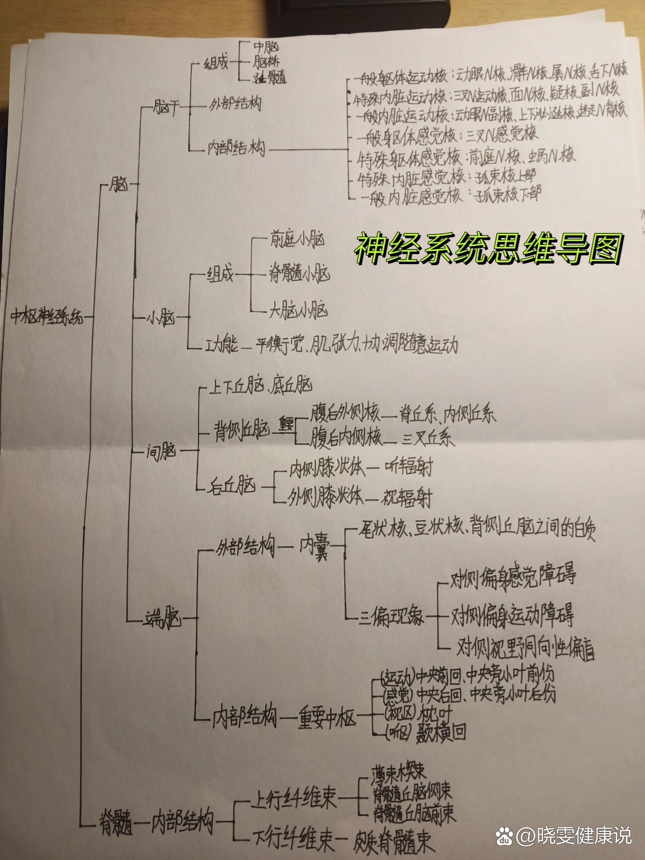 神经组织思维导图组胚图片