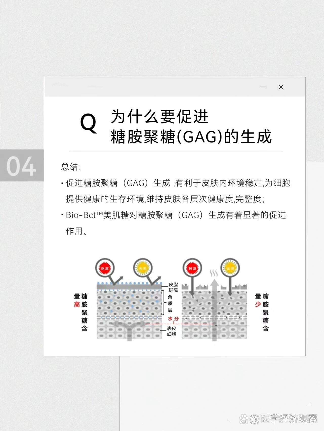 细胞外基质（ECM）的重要使命🆒