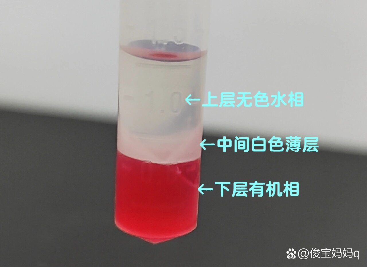 细胞RNA(Trizol法),详细抽提方法!