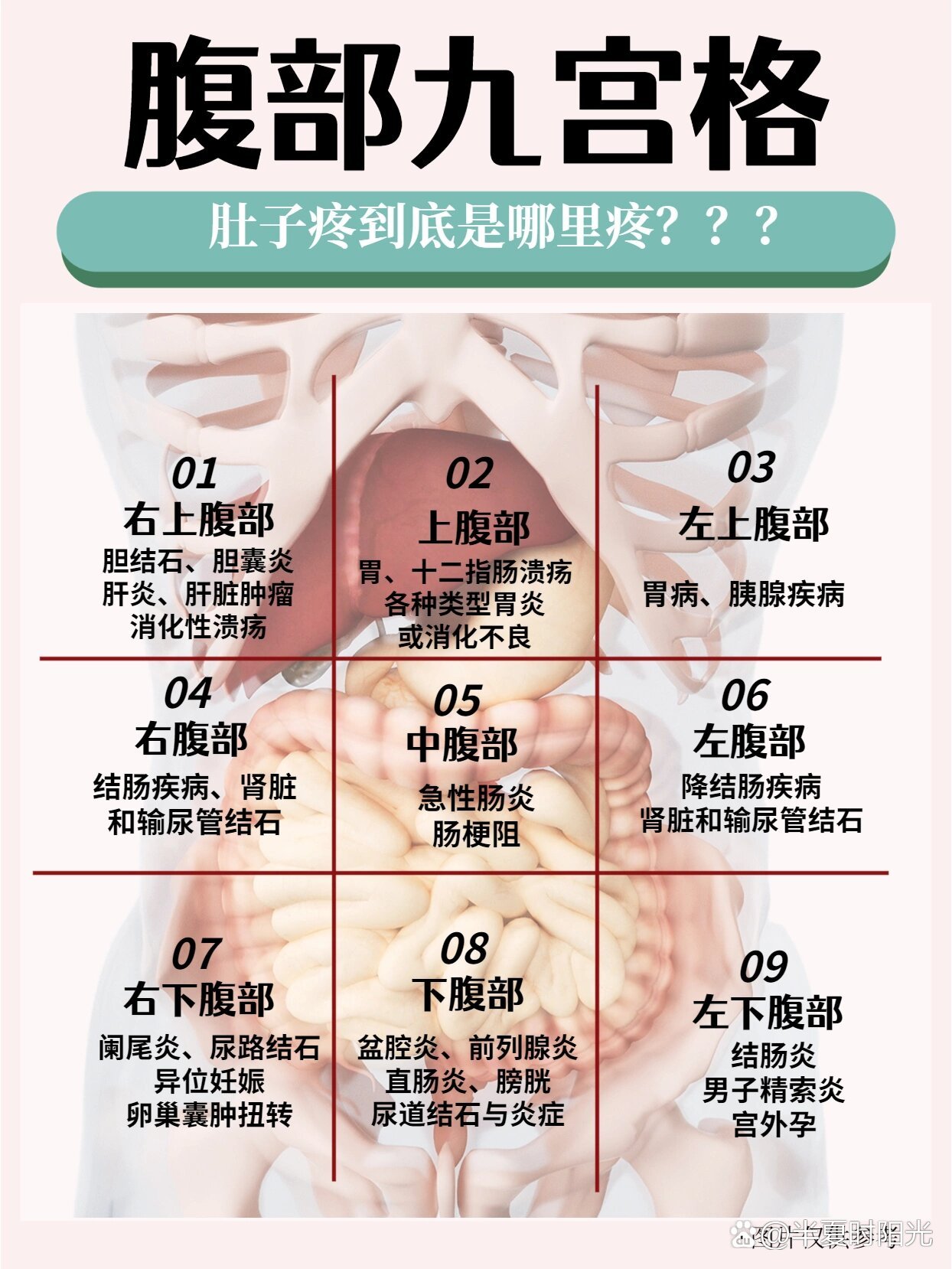 腹部疼痛9位置图女图片