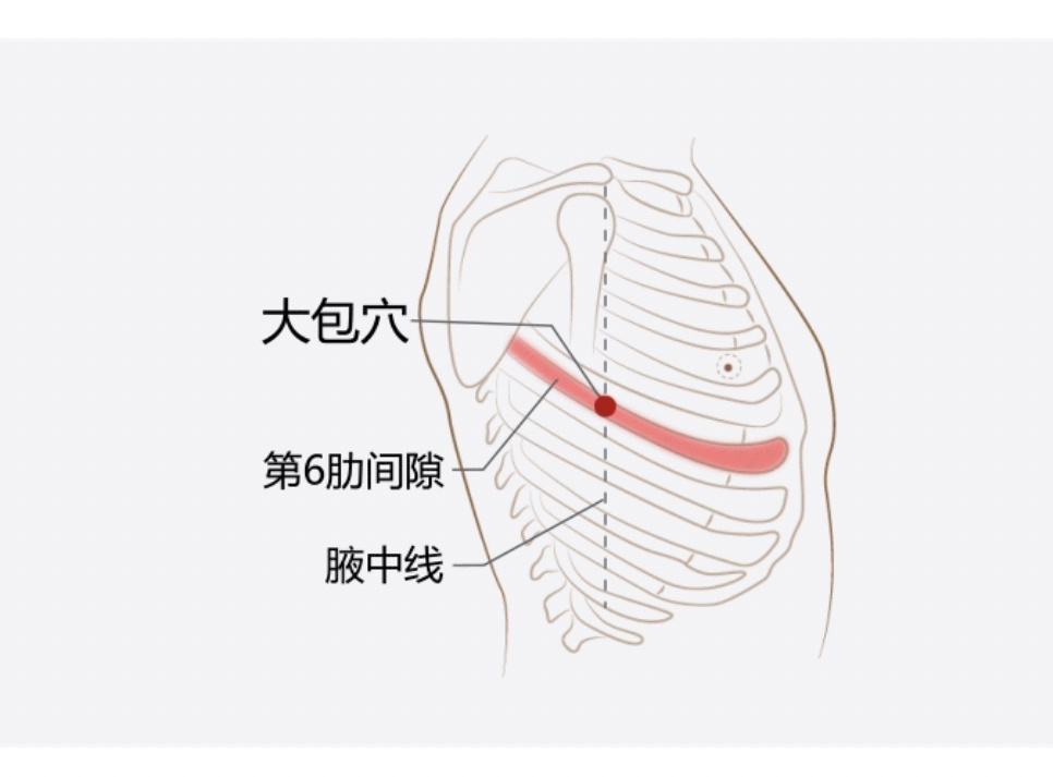 一天记一个穴位