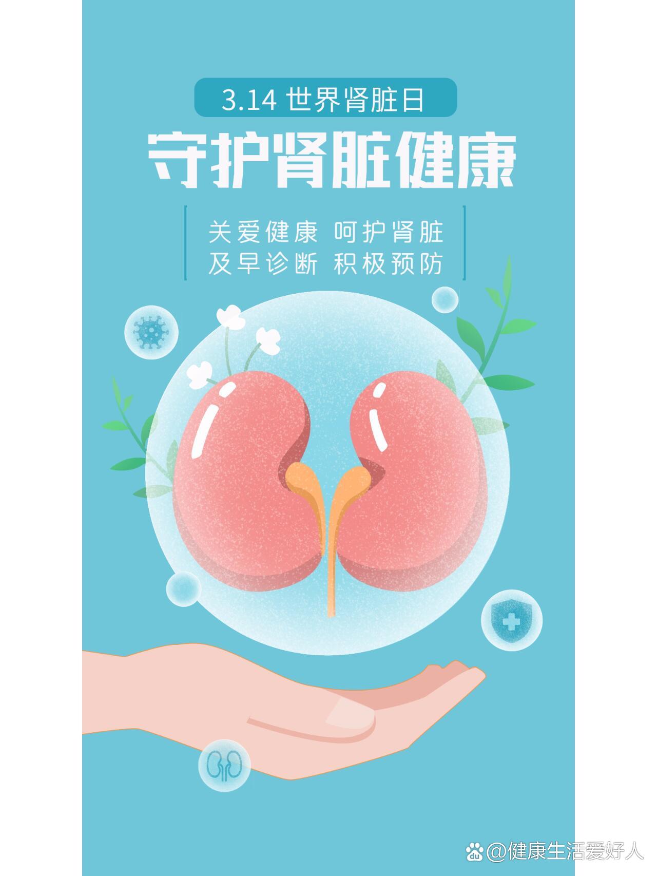 世界肾脏日海报分享丨可定制设计