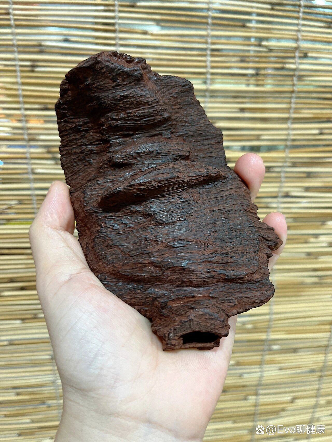 海南黄檀(俗称:花梨公