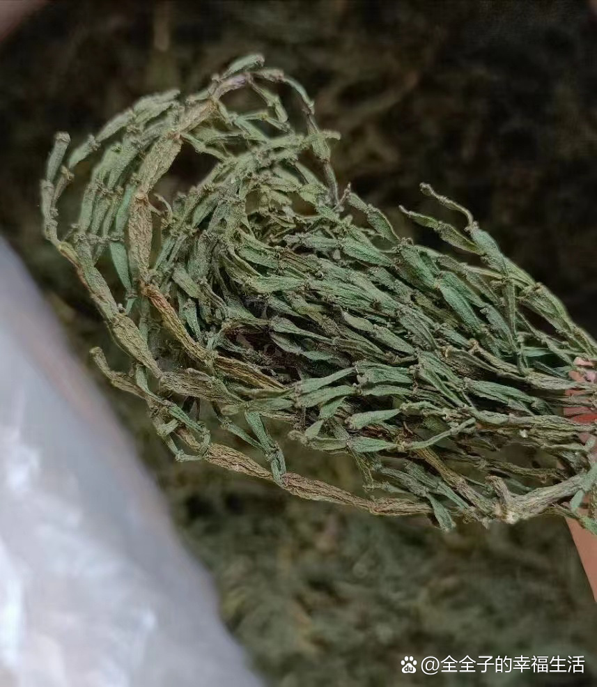 茶树螃蟹脚的功效与作用有以下几种,1,蟹脚其性寒凉,饮后回甘爽甜