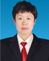 陈红娟