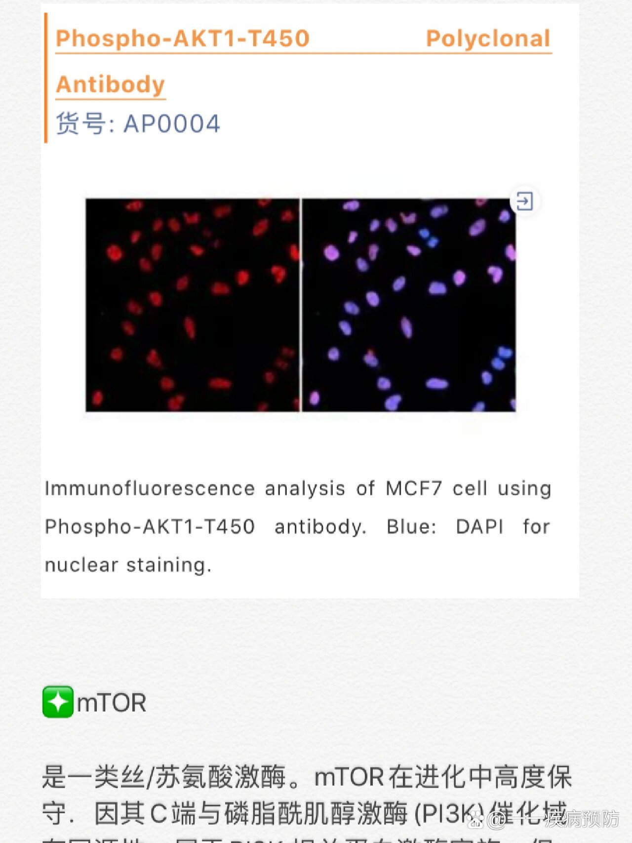 经典信号通路PI3K-AKT-mTOR🔥超全解析