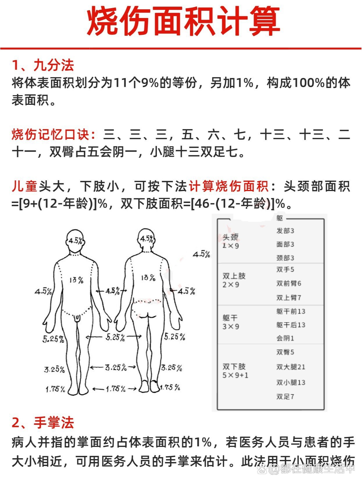 新九分法烧伤面积口诀图片