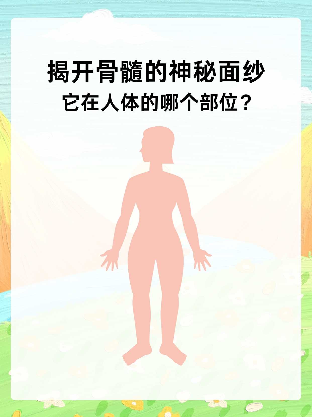 揭开骨髓的神秘面纱:它在人体的哪个部位?