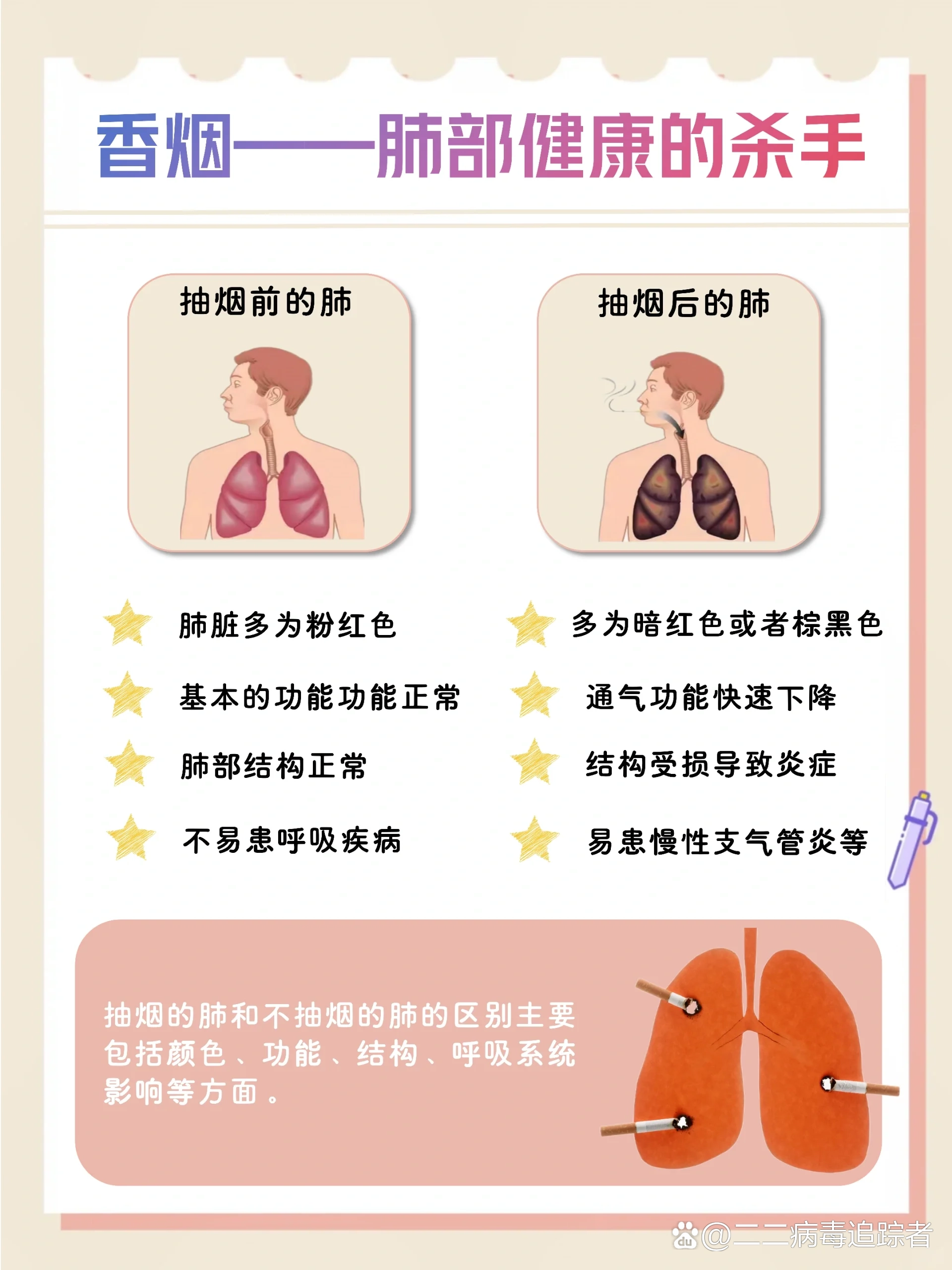 香烟的成分结构图图片