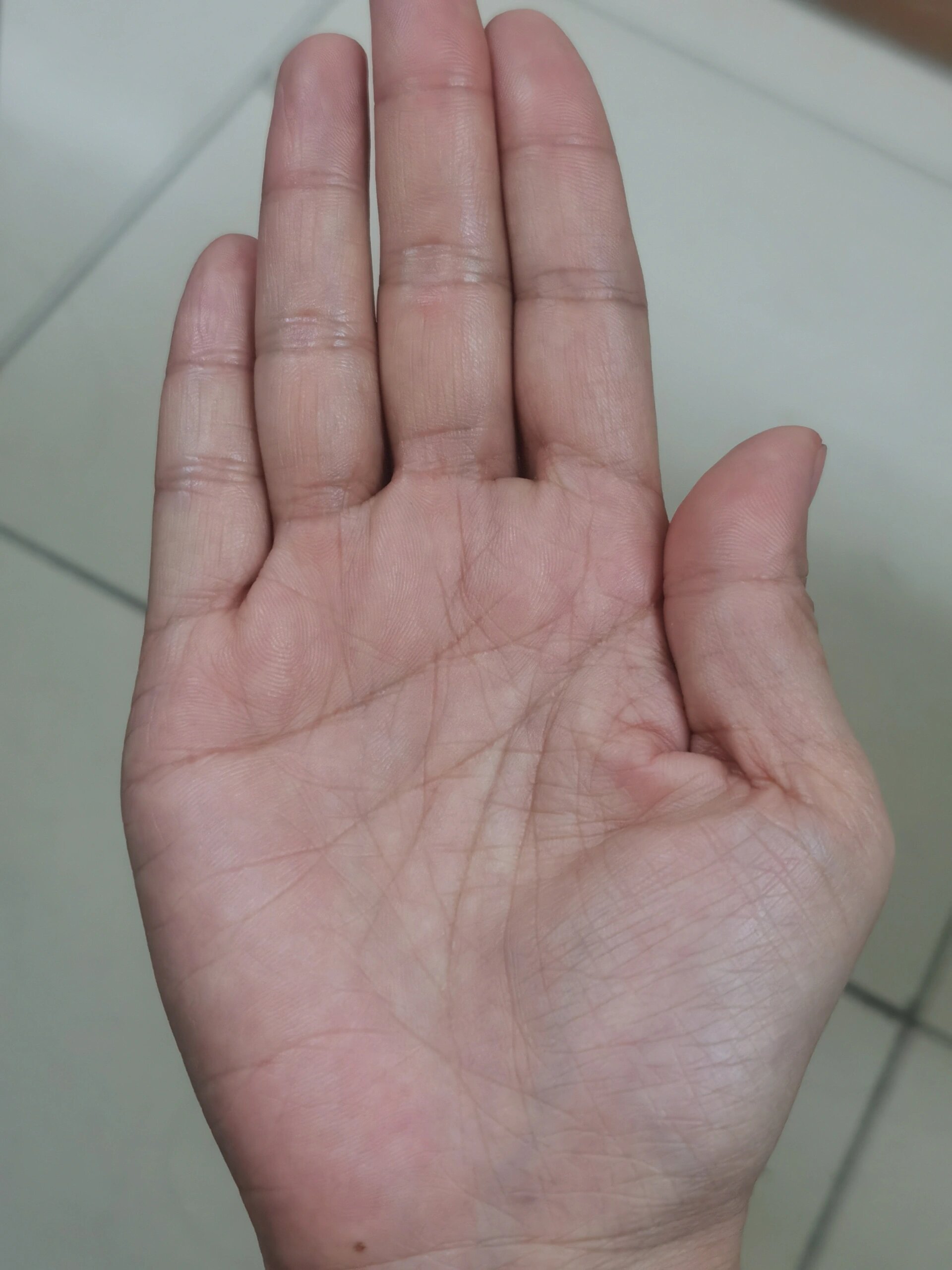 大家给看看,我的生命线这么多,智慧线又有分叉,这怎么说呢