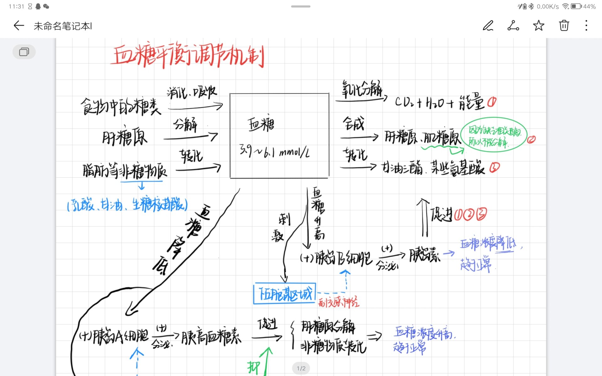 血糖平衡调节机制思维导图92