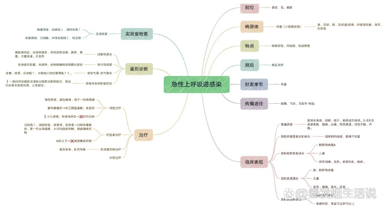 医院感染思维导图图片图片