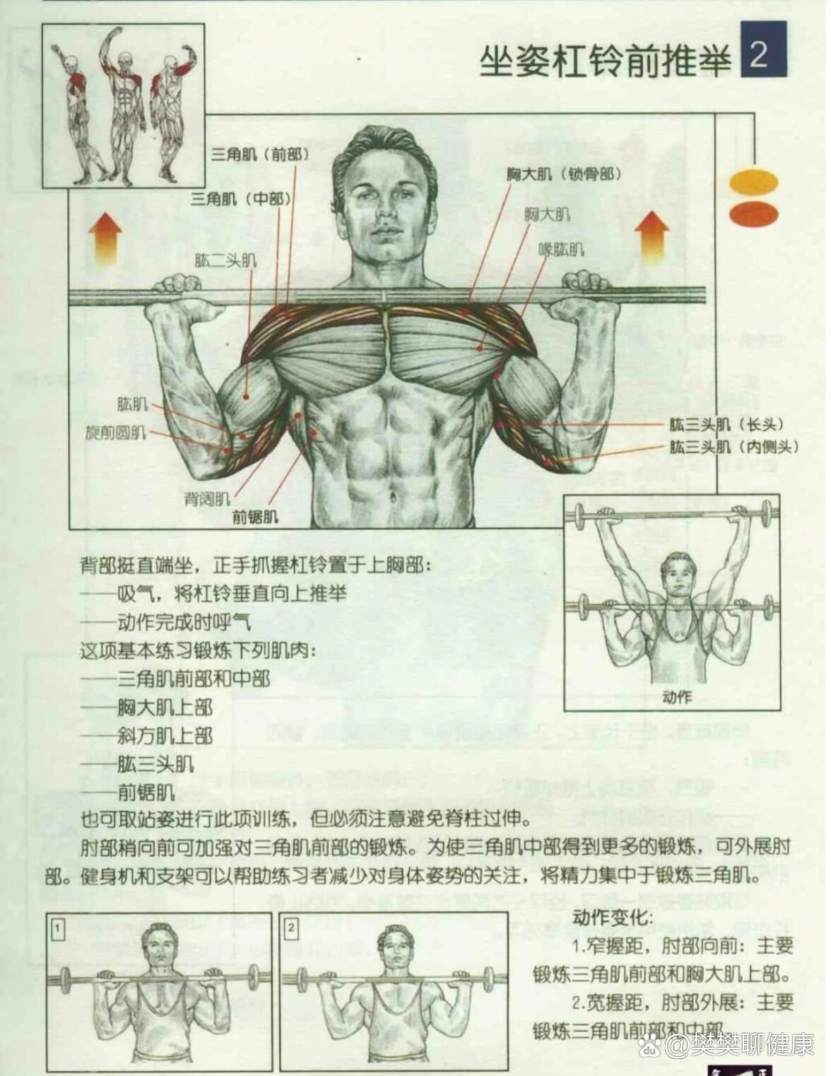 杠铃肩上推举图解图片