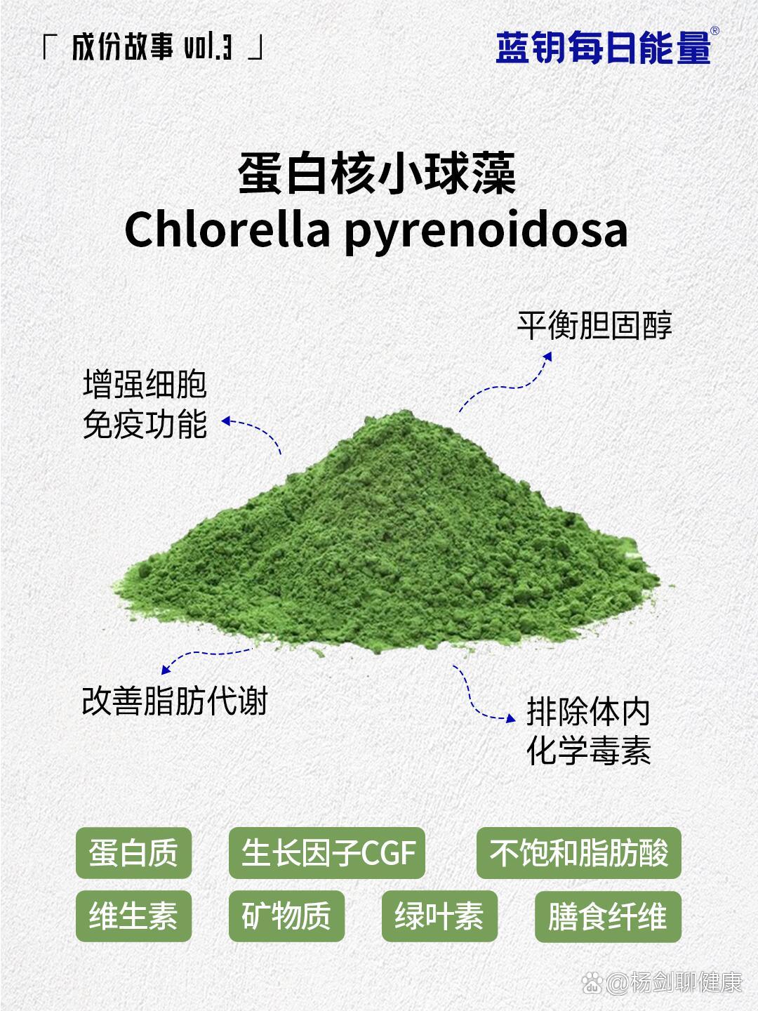 钙尔奇蛋白核小球藻片图片