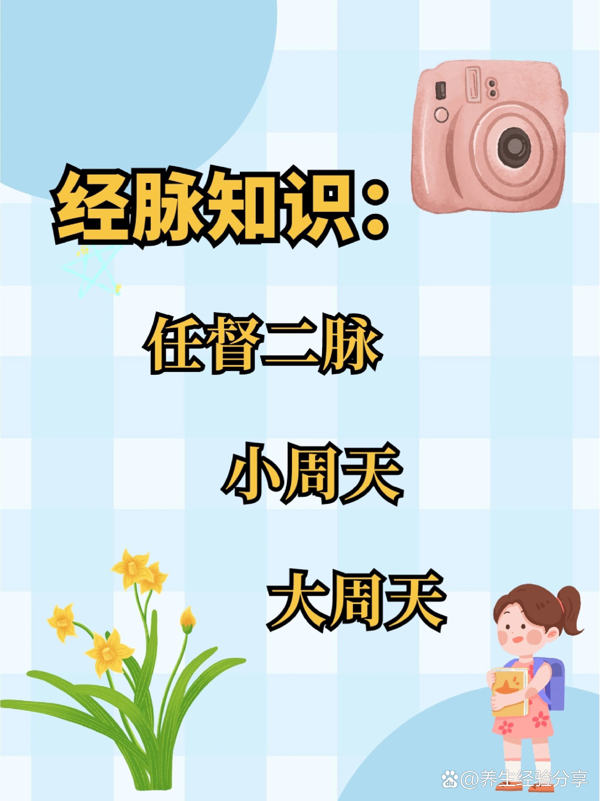 经脉知识:任督二脉,小周天,大周天.