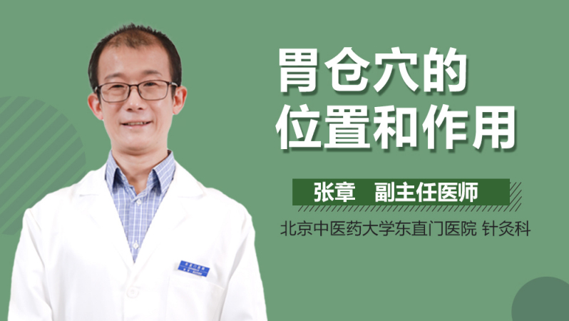 胃仓穴的位置和作用