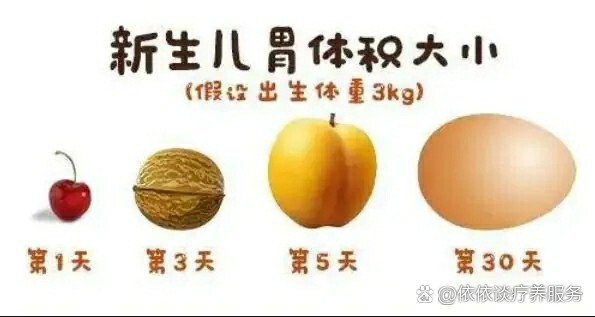新生儿的胃有多大?