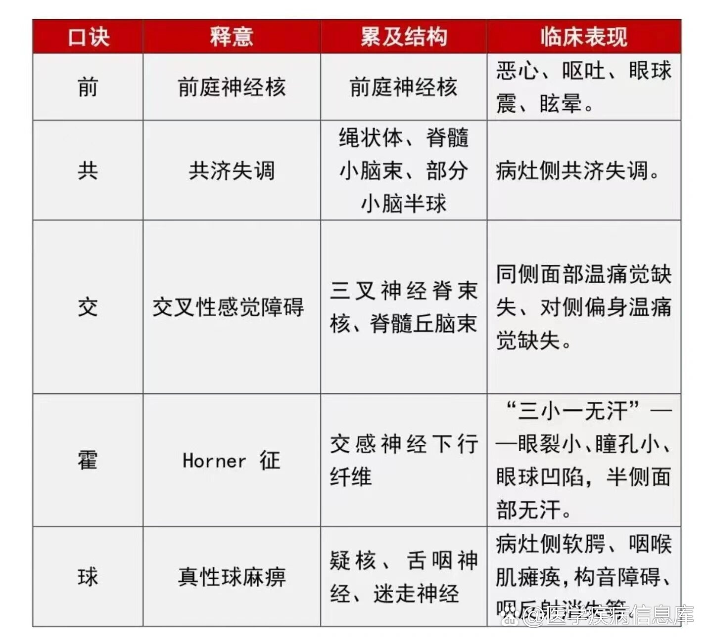 延髓作用图片