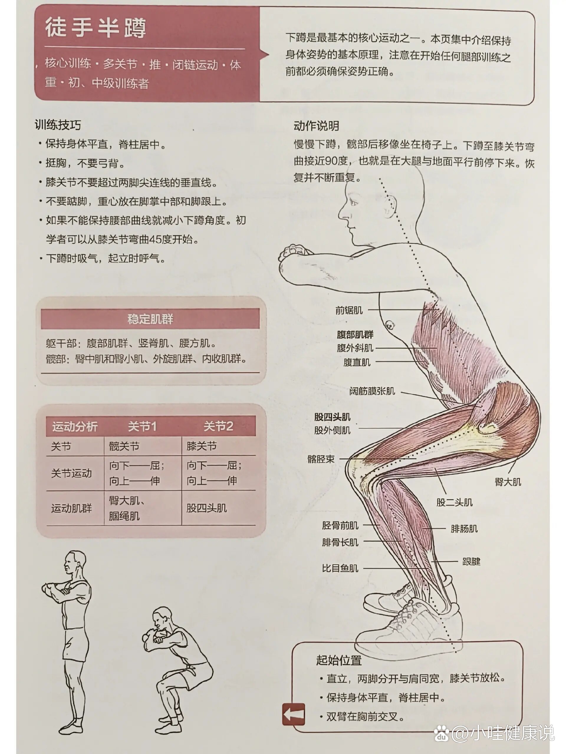 深蹲动作要领图解图片