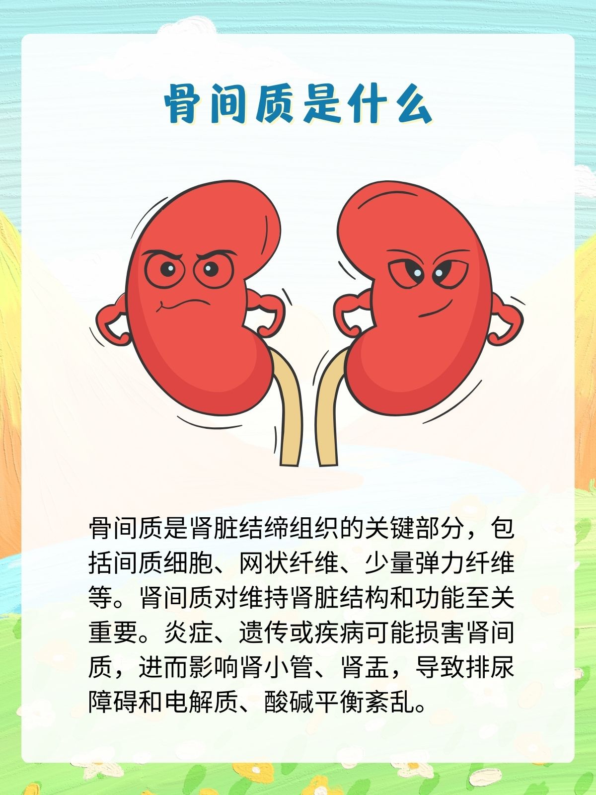 肾间质:守护肾脏健康的隐形守护者