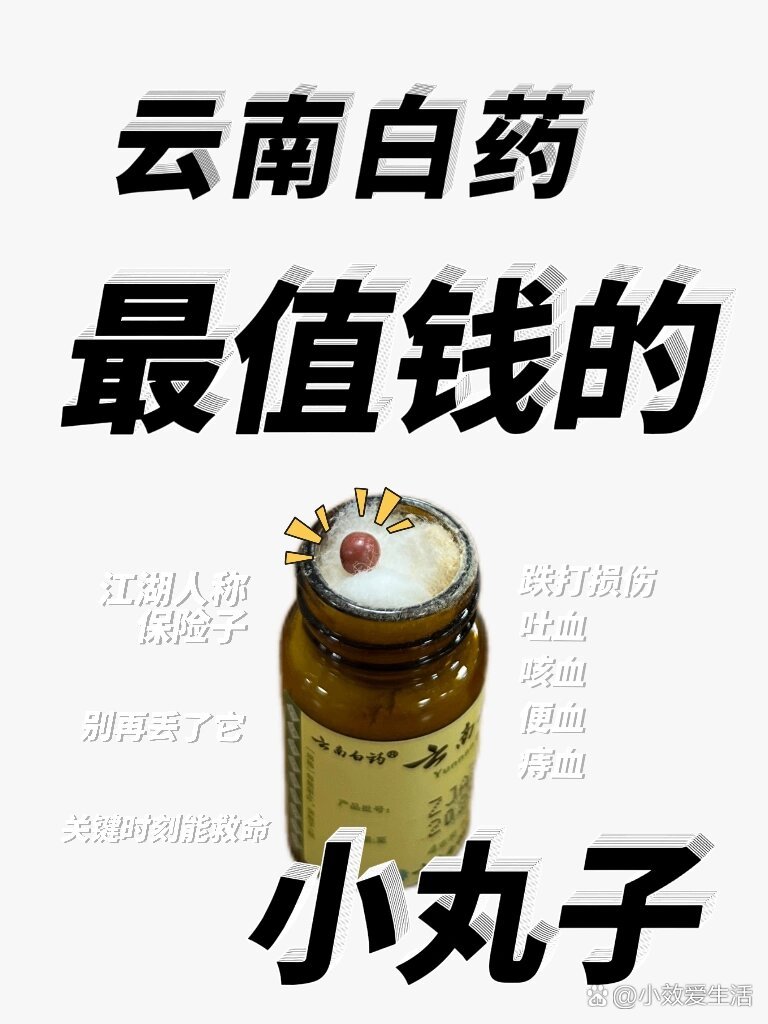 中国四大救命药丸图片