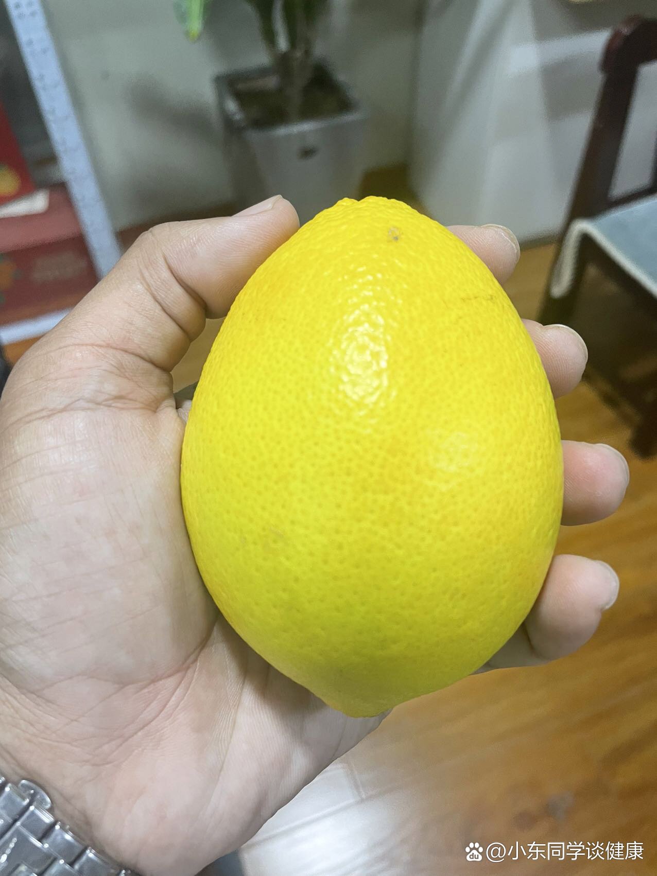 纯甜无酸木瓜蜜丁橙