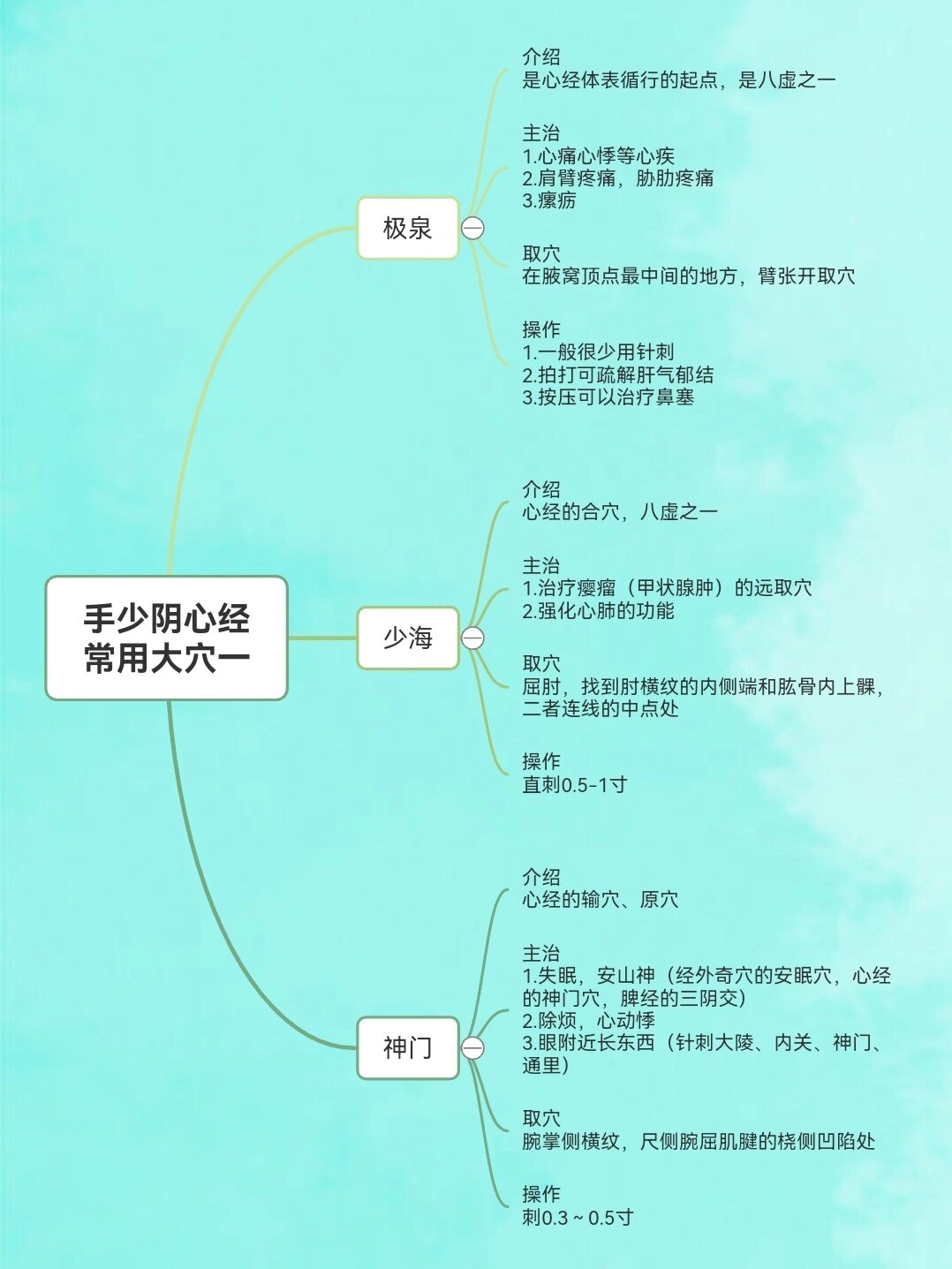 中医经络思维导图