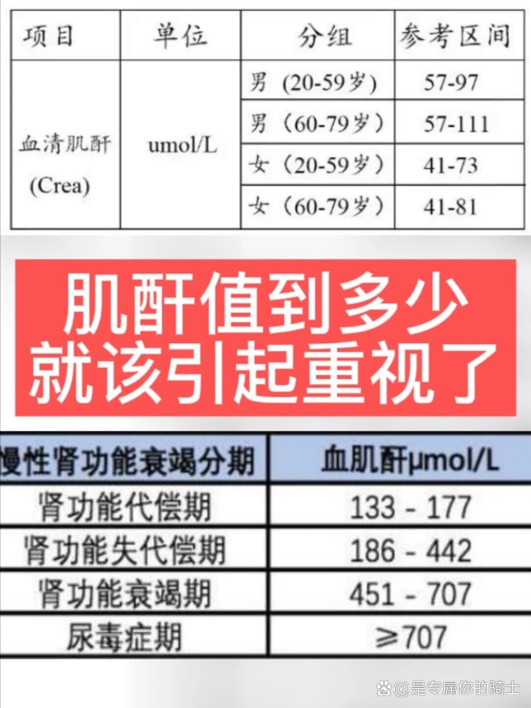 肌酐71正常吗 全网资源