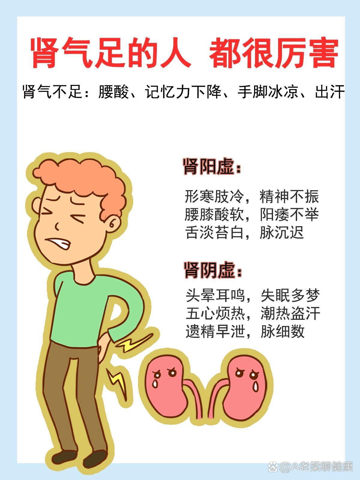 肾气足的人 都很厉害 br>▷▸肾气不足:腰酸,记忆力下降,手脚冰凉