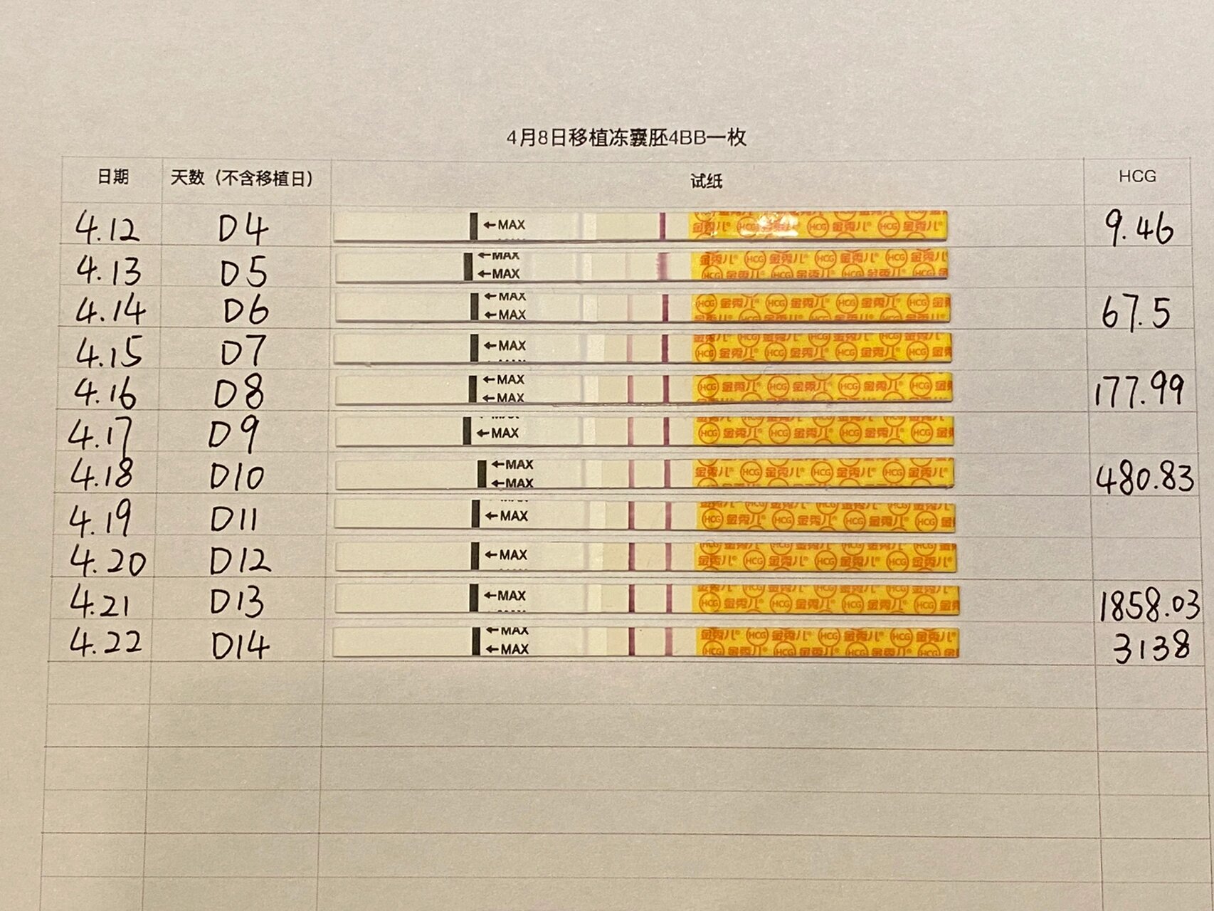 金秀儿早孕试纸对照表图片