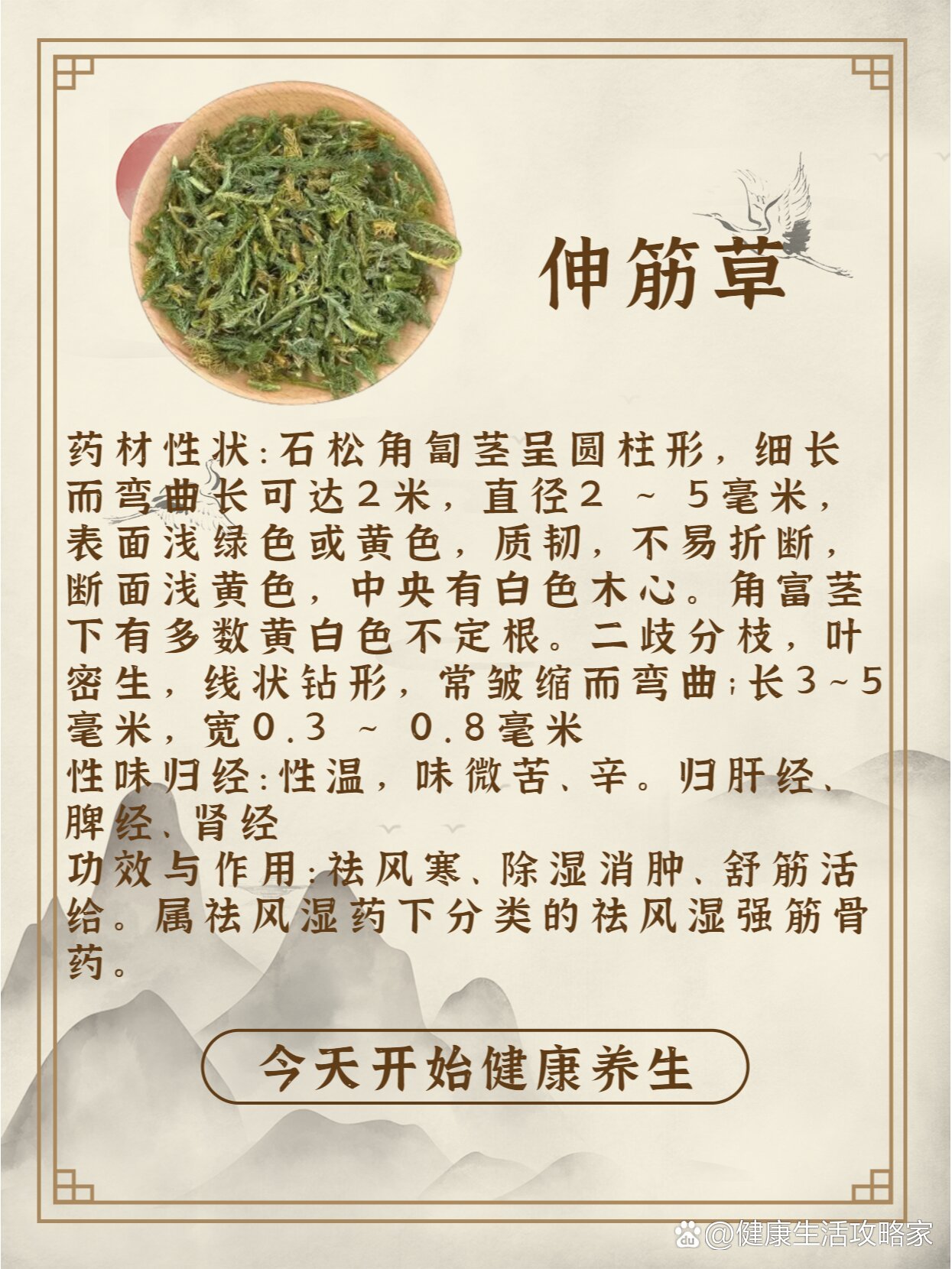 伸筋活络丸的功效图片