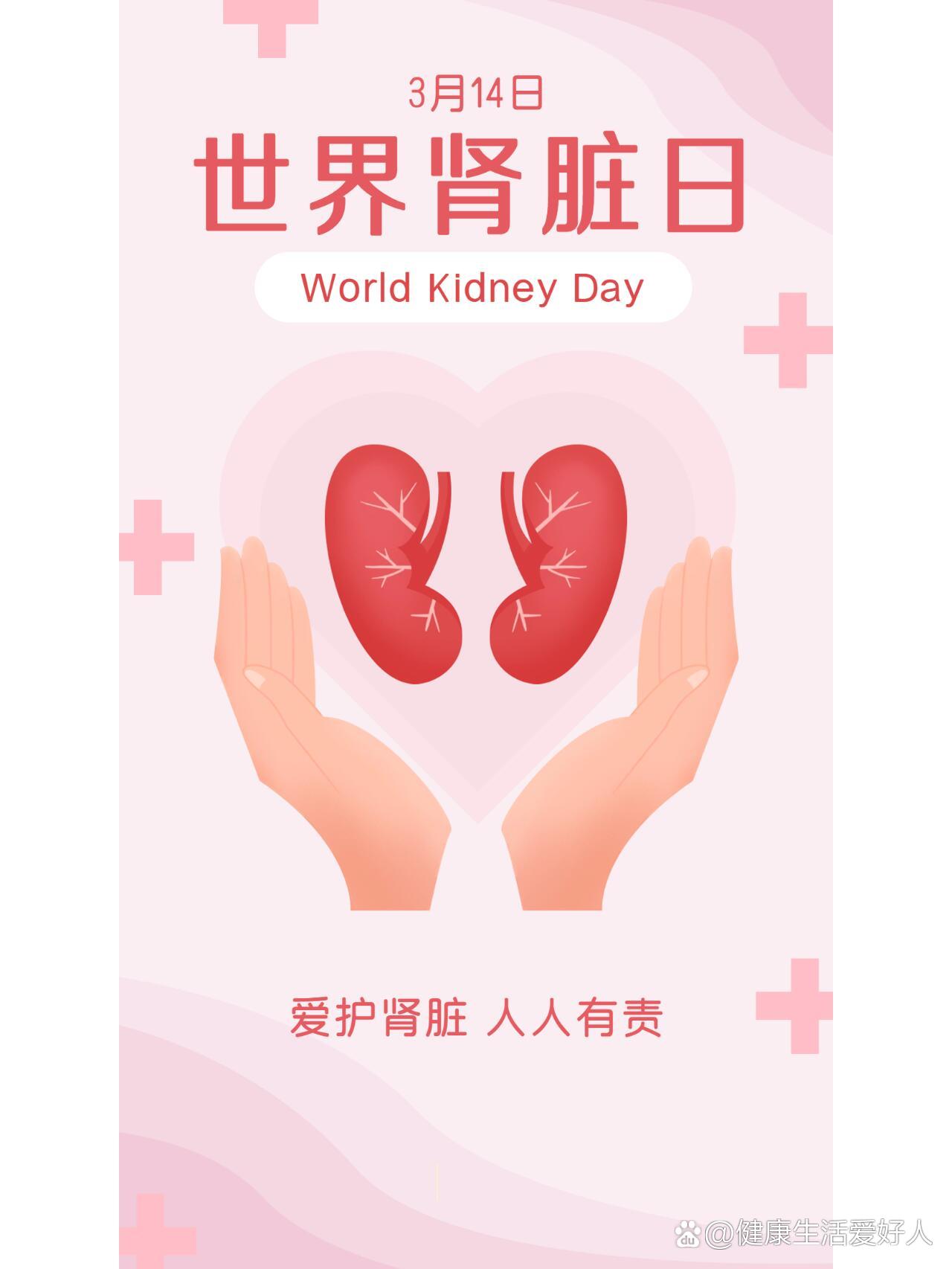 世界肾脏日海报分享丨可定制设计