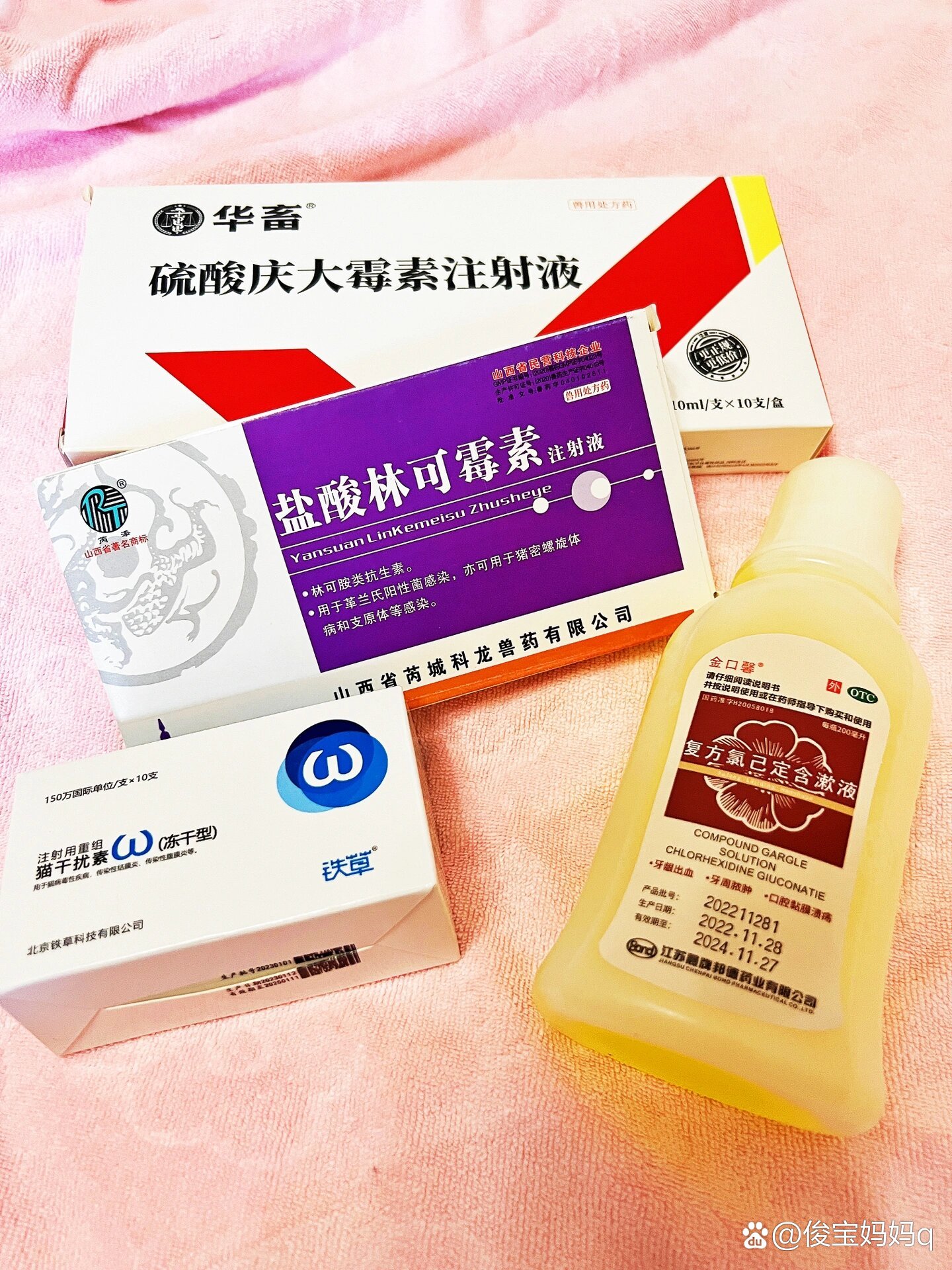 160在家治好猫杯状病毒04猫咪雾化治疗