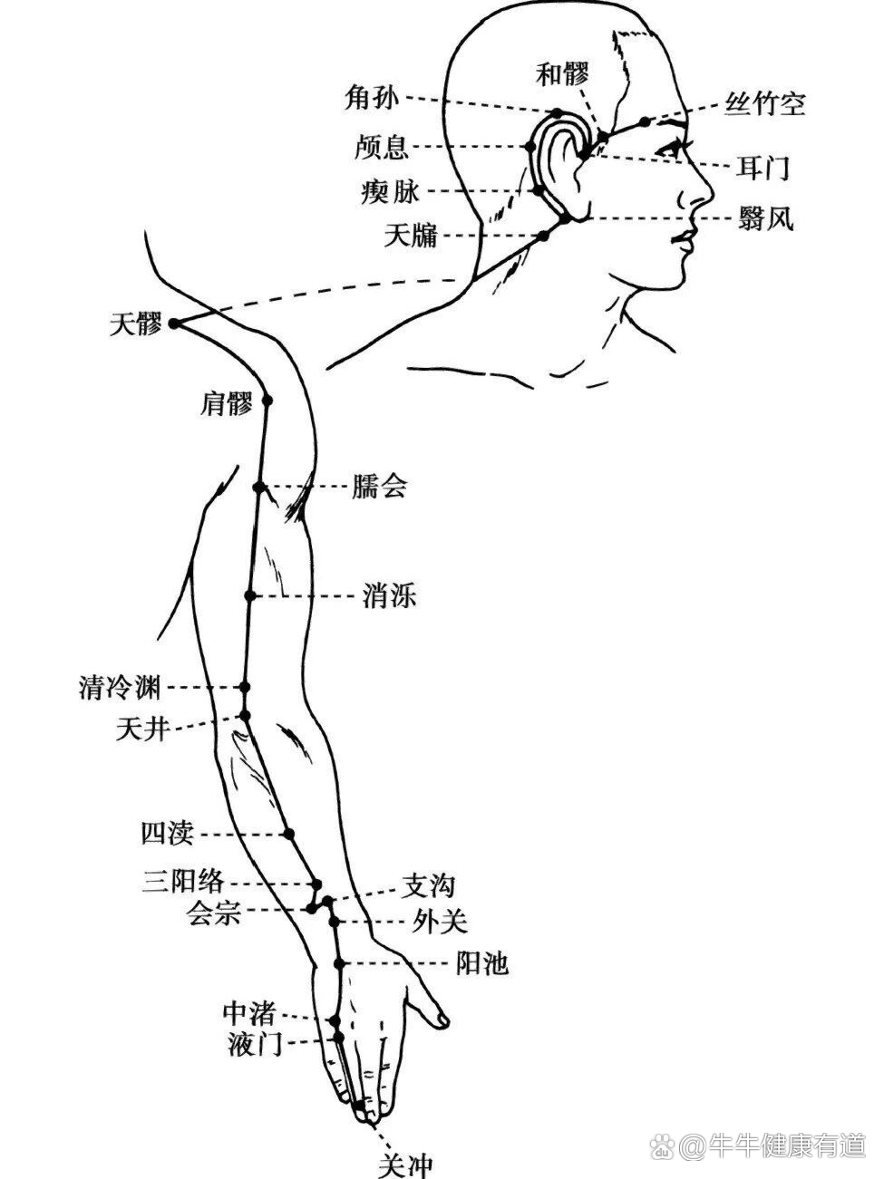 三焦经经络图位置图片