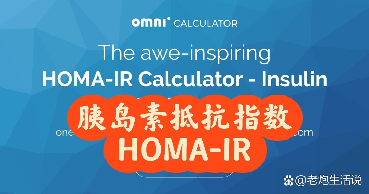胰岛素抵抗指数homa