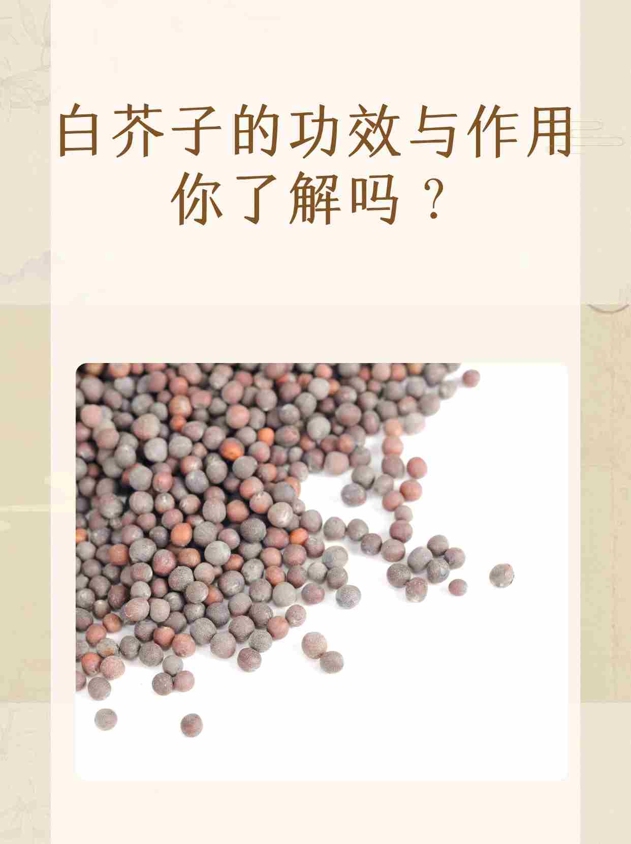 白芥子的功效与作用你了解吗?