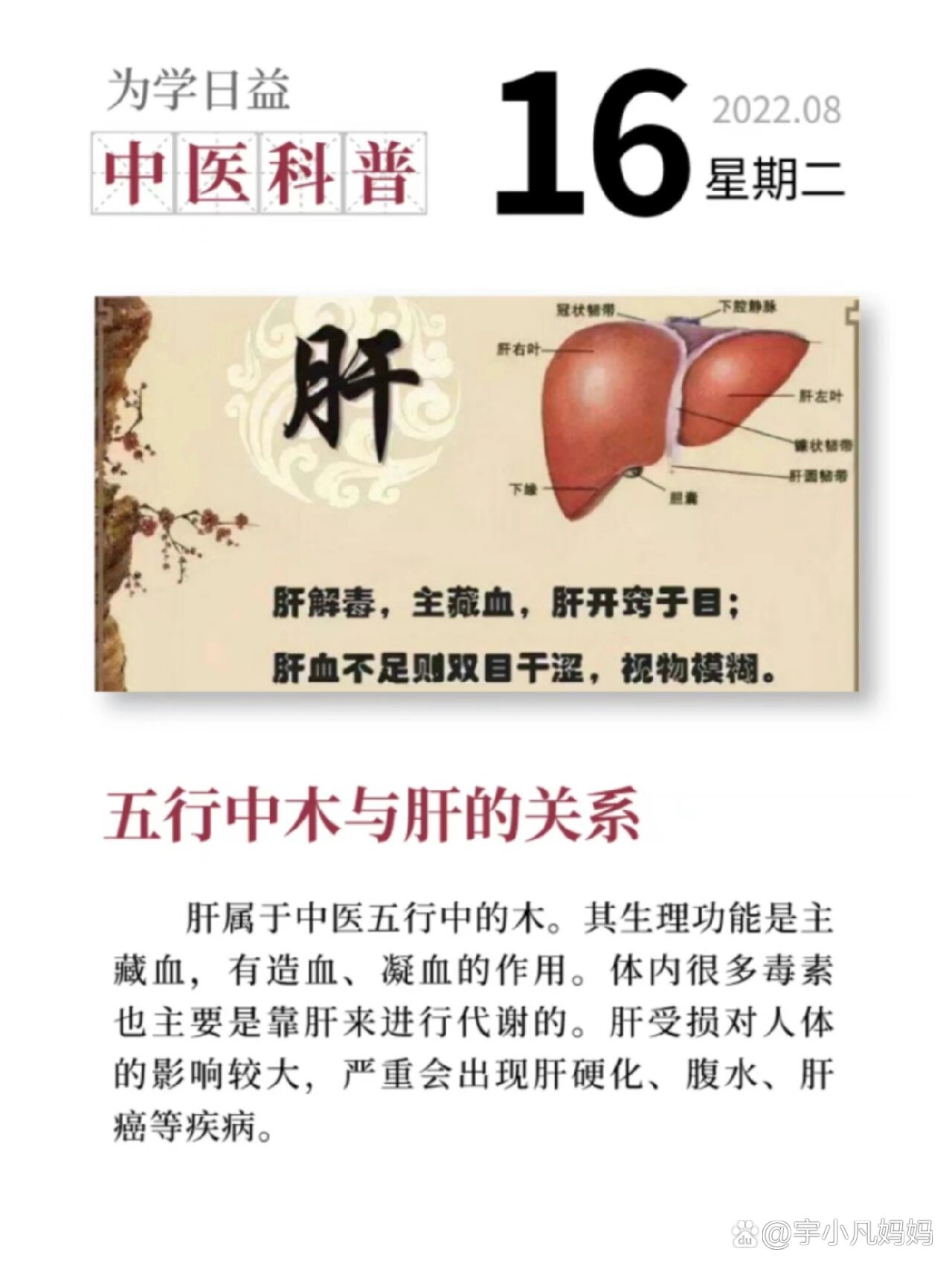 中医肝,中医心(第2页)_大山谷图库
