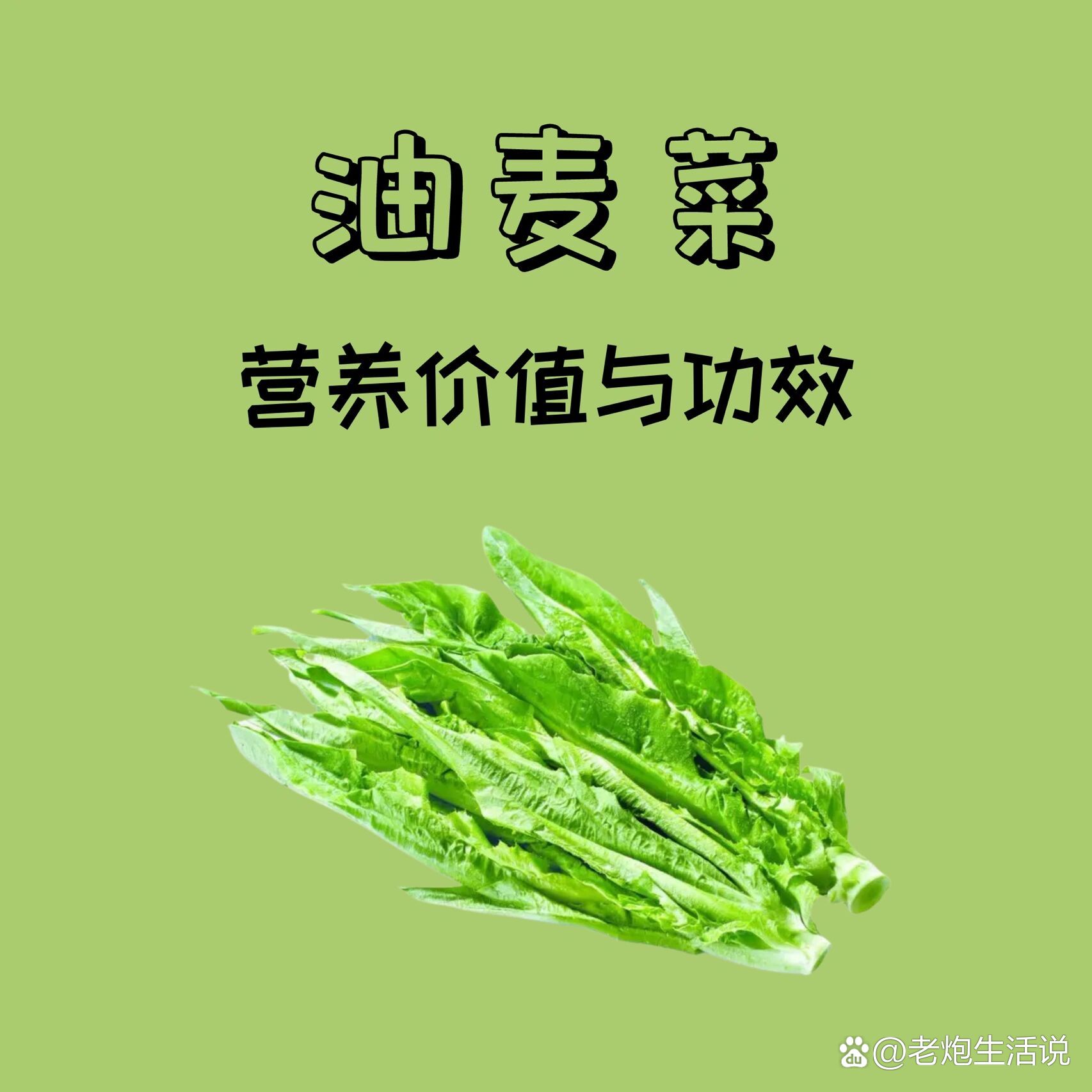 油麦菜的好处图片