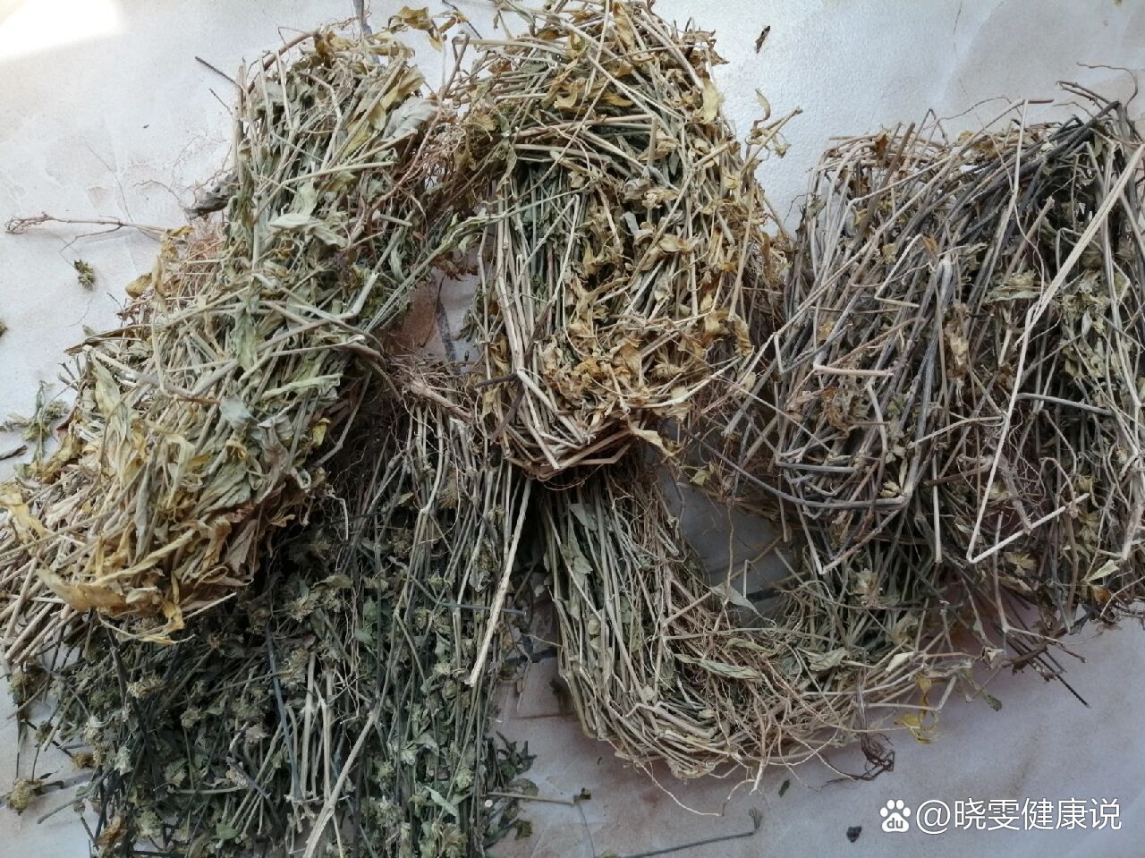 我们家乡叫它黄蜂草,蟑螂草.